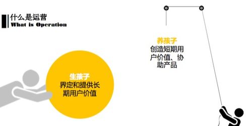 互联网运营的基石 网站运营的全方位解析